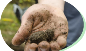 Soil uneven soil – How to determine soil property