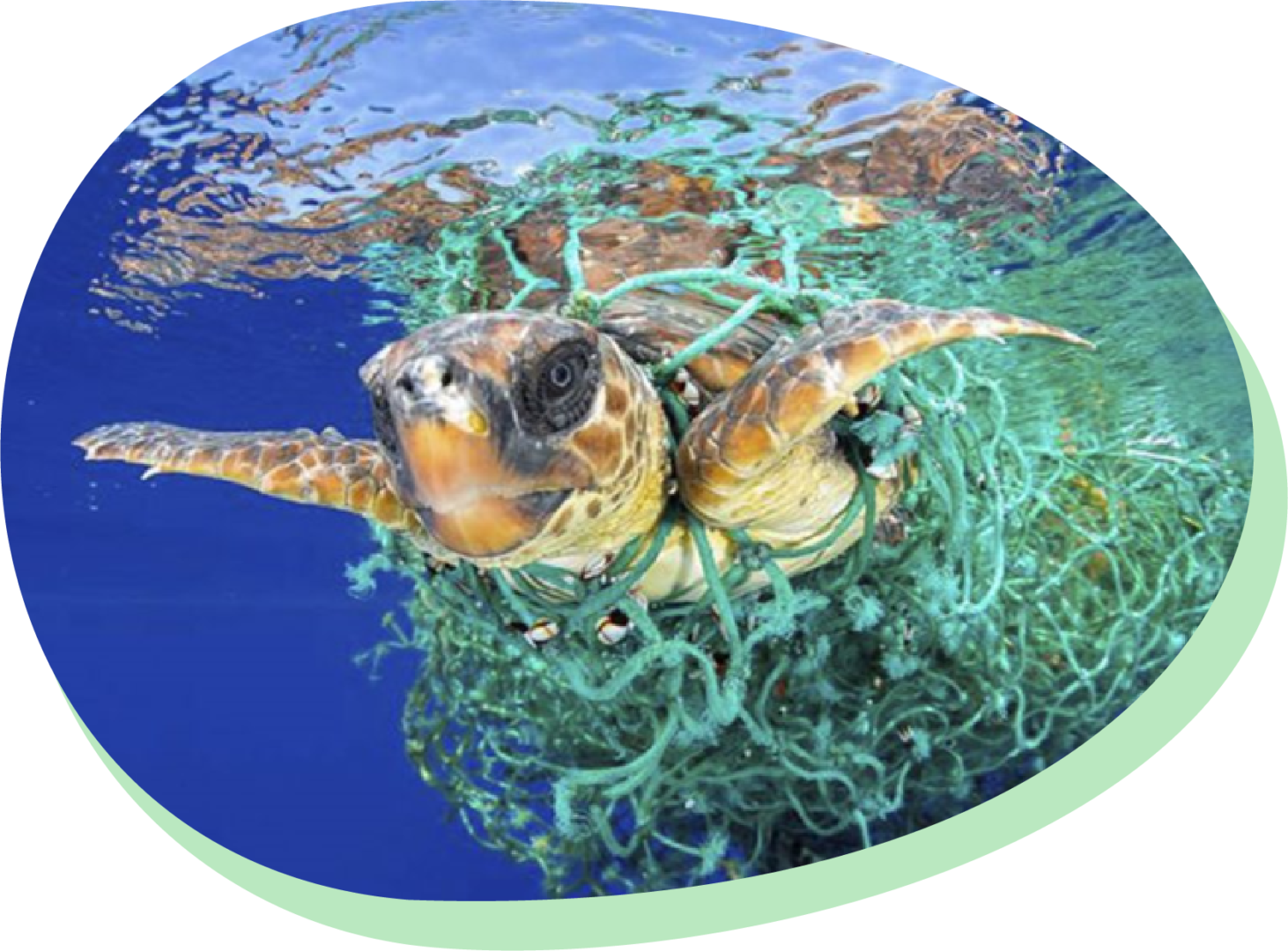 Plastikowy Ocean Kids Lab 4 Sustainability